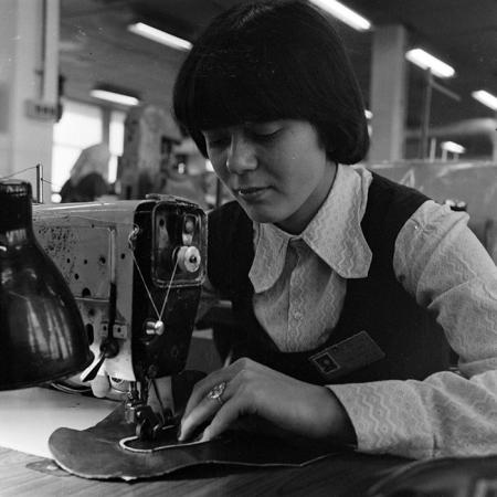 minerva_1978_c2_c2r3_035