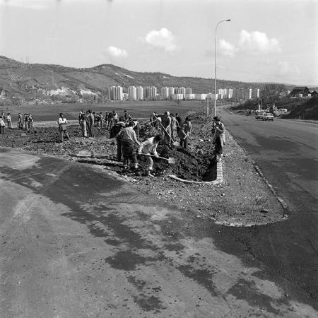 minerva_1978_c2_c5r1_007