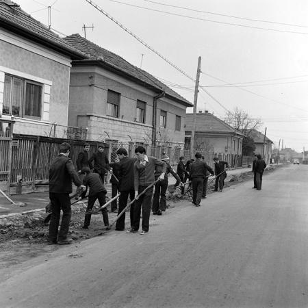 minerva_1978_c2_c5r2_002