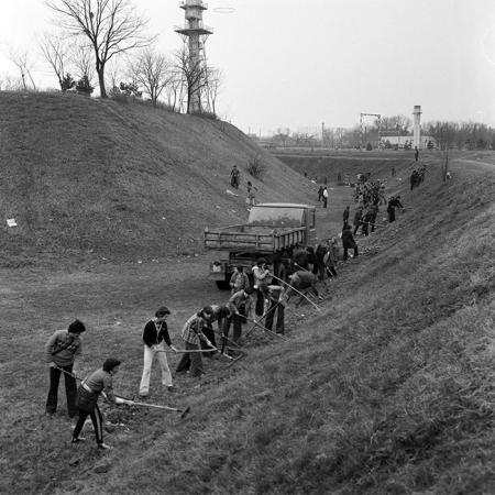 minerva_1978_c2_c5r2_004