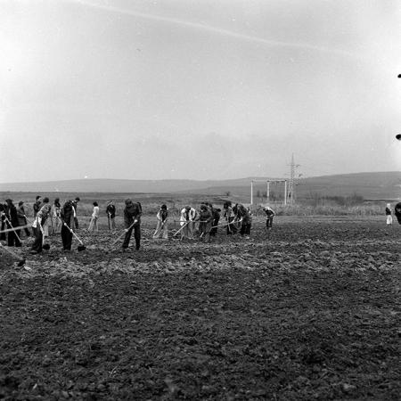 minerva_1978_c2_c5r2_013