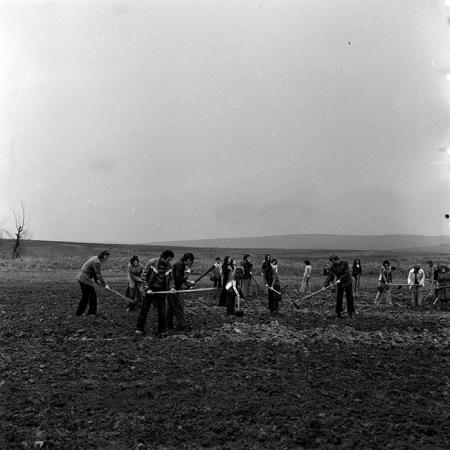 minerva_1978_c2_c5r2_014