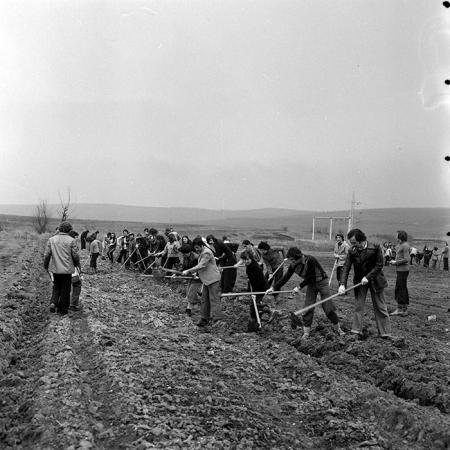 minerva_1978_c2_c5r2_015