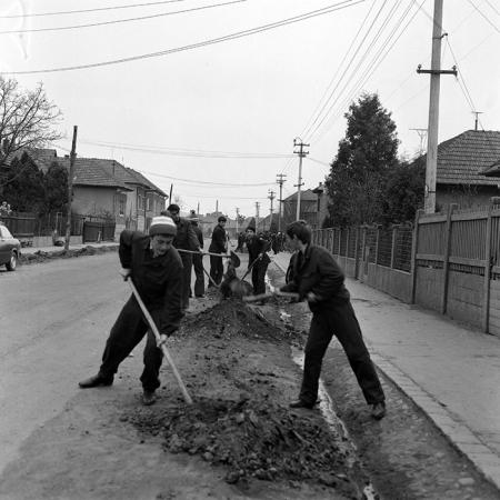 minerva_1978_c2_c5r2_020