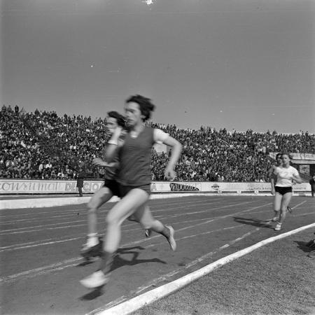 minerva_1978_c2_c5r5_013