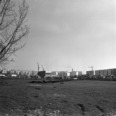 minerva_1978_c2_c6r1_008