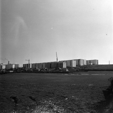 minerva_1978_c2_c6r1_009