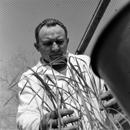 minerva_1978_c2_c6r2_018