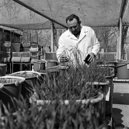 minerva_1978_c2_c6r2_020