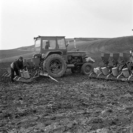 minerva_1978_c2_c6r3_004