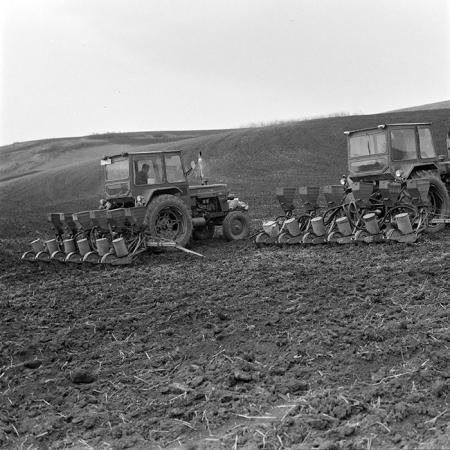 minerva_1978_c2_c6r3_005