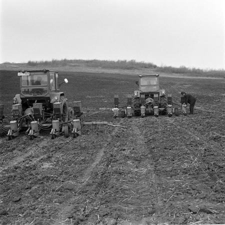 minerva_1978_c2_c6r3_007