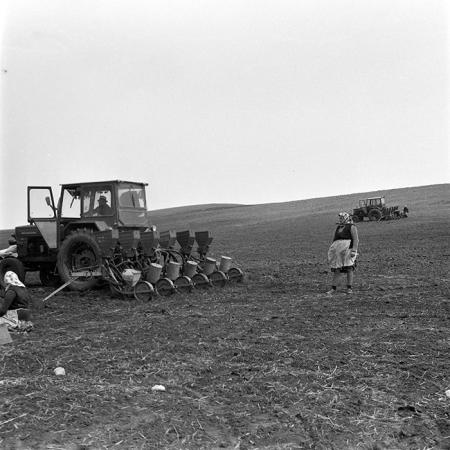 minerva_1978_c2_c6r3_008