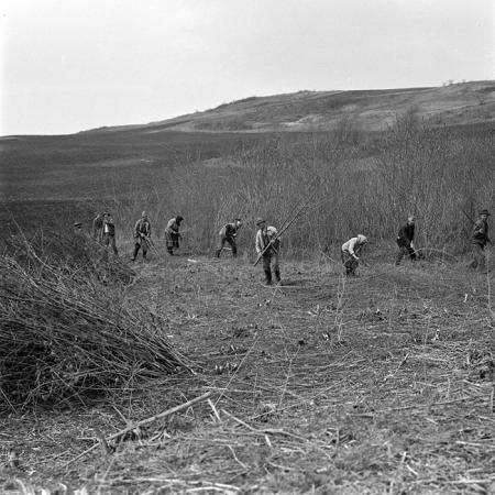 minerva_1978_c2_c6r3_009