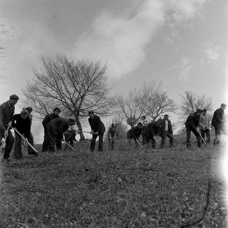 minerva_1978_c2_c6r5_010