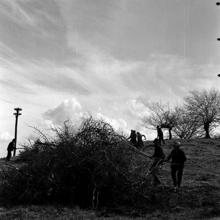 minerva_1978_c2_c6r5_022