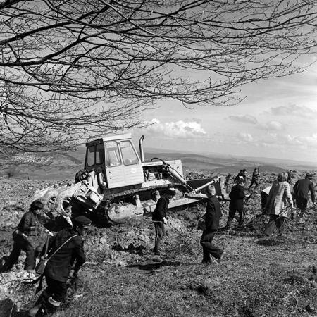 minerva_1978_c2_c6r5_028