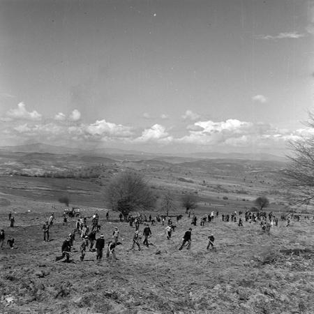 minerva_1978_c2_c6r5_032