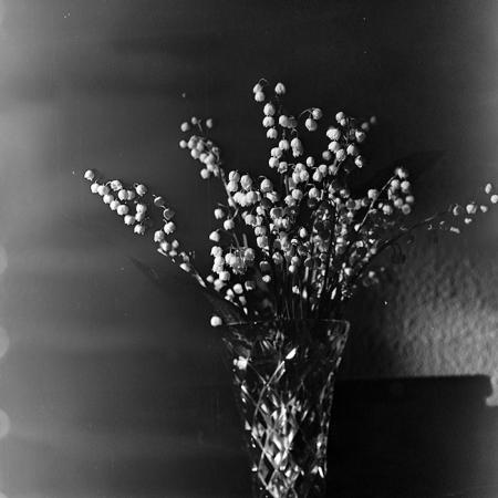 minerva_1978_c2_c9r1_004