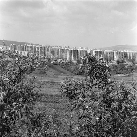 minerva_1978_c2_c9r1_006