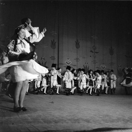 neidentificat|nem azonosított|not identified