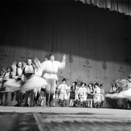 neidentificat|nem azonosított|not identified