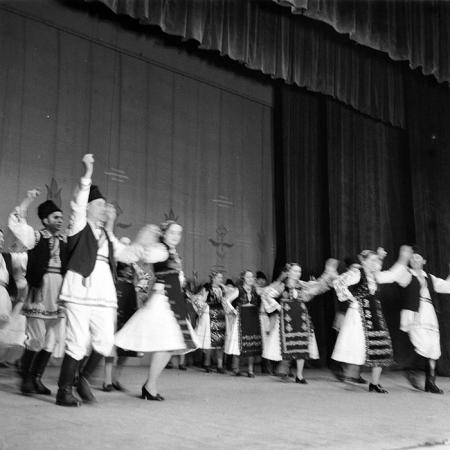 neidentificat|nem azonosított|not identified