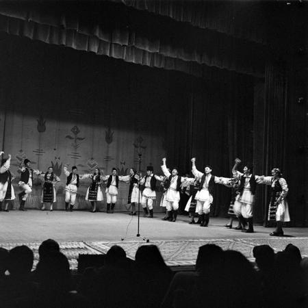 neidentificat|nem azonosított|not identified