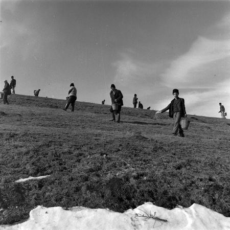 minerva_1979_c1_c3r3_007