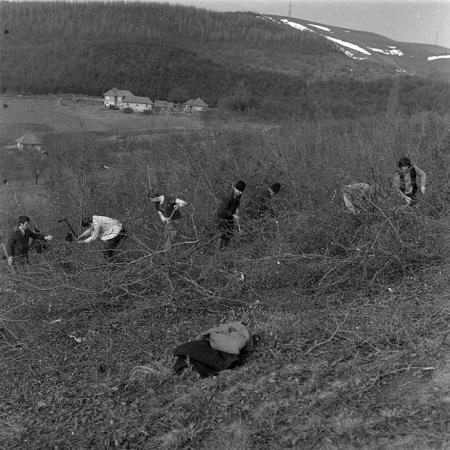 minerva_1979_c1_c3r3_009