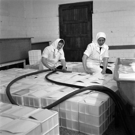 minerva_1979_c1_c6r4_003