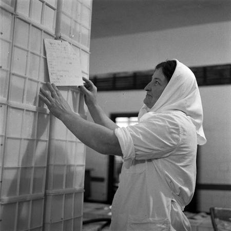 minerva_1979_c1_c6r4_004