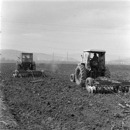 minerva_1979_c1_c6r4_007