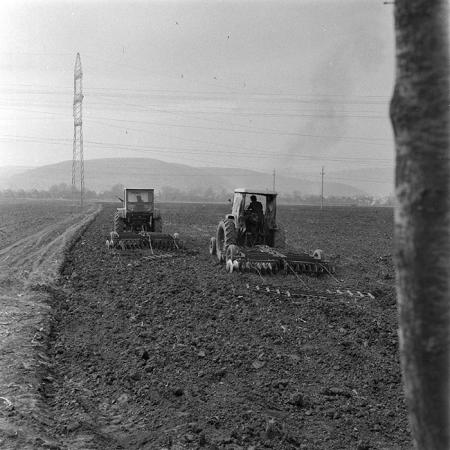 minerva_1979_c1_c6r4_008