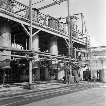 minerva_1979_c1_c7r2_007