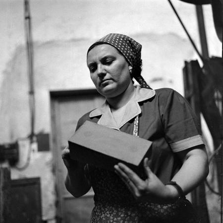 minerva_1979_c1_c7r2_015