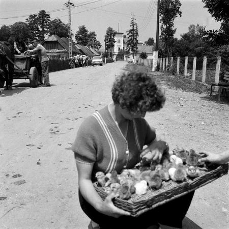 minerva_1979_c1_c8r5_004