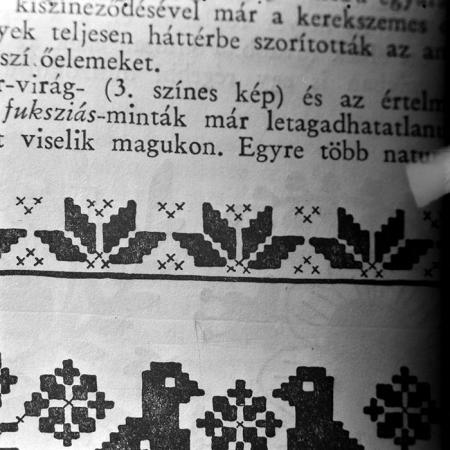 minerva_1979_c1_c9r5_003