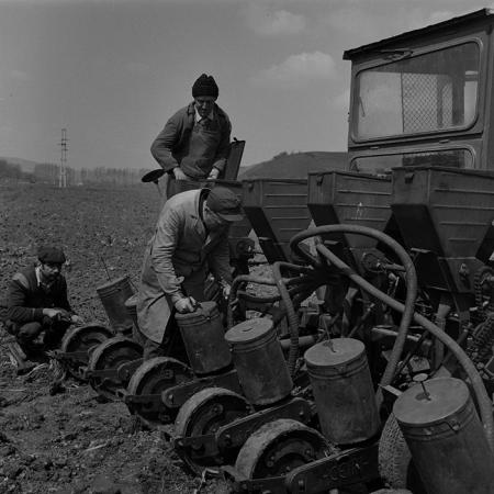 minerva_1981_c1_c1r2_003