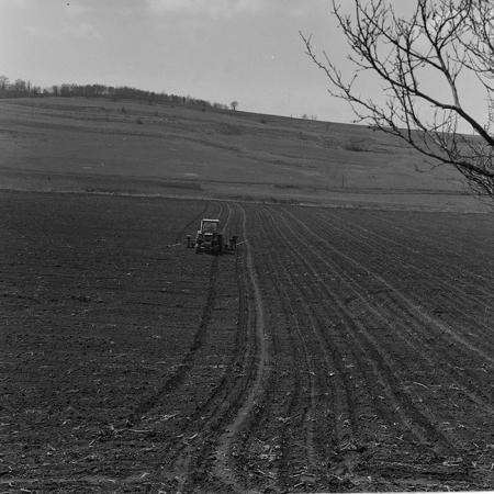 minerva_1981_c1_c1r2_010