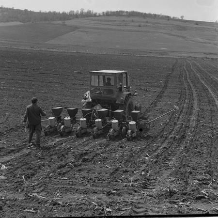 minerva_1981_c1_c1r2_013