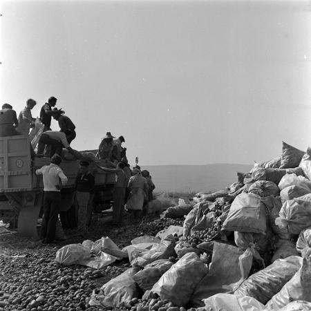 minerva_1982_c3_c1r2_001