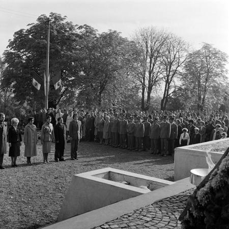 minerva_1982_c3_c3r5_010