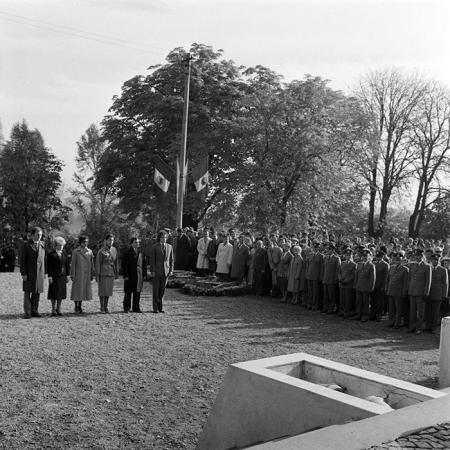 minerva_1982_c3_c3r5_011