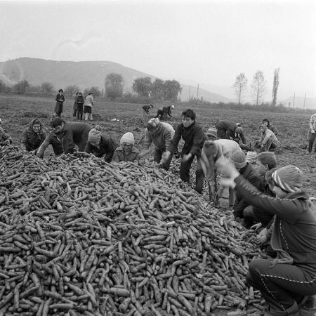 minerva_1982_c3_c4r4_019