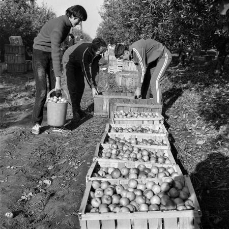 minerva_1982_c3_c5r2_011