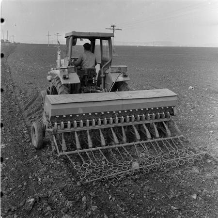 minerva_1983_c1_c1r3_044