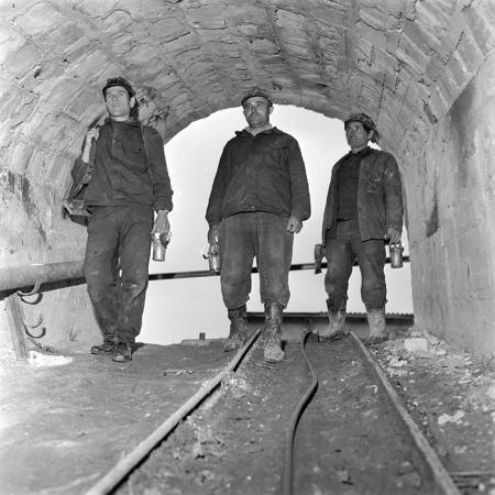 minerva_1983_c1_c2r3_006