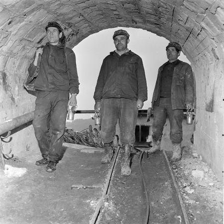 minerva_1983_c1_c2r3_007