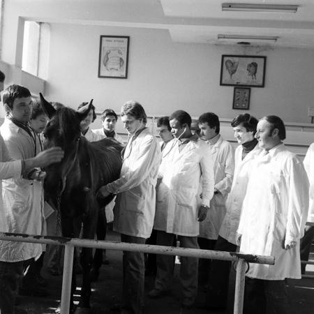 minerva_1983_c1_c4r5_012